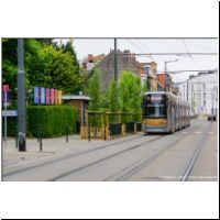 2025-05-29 T10 Ecole maternelle de Heembeek 4048.jpg